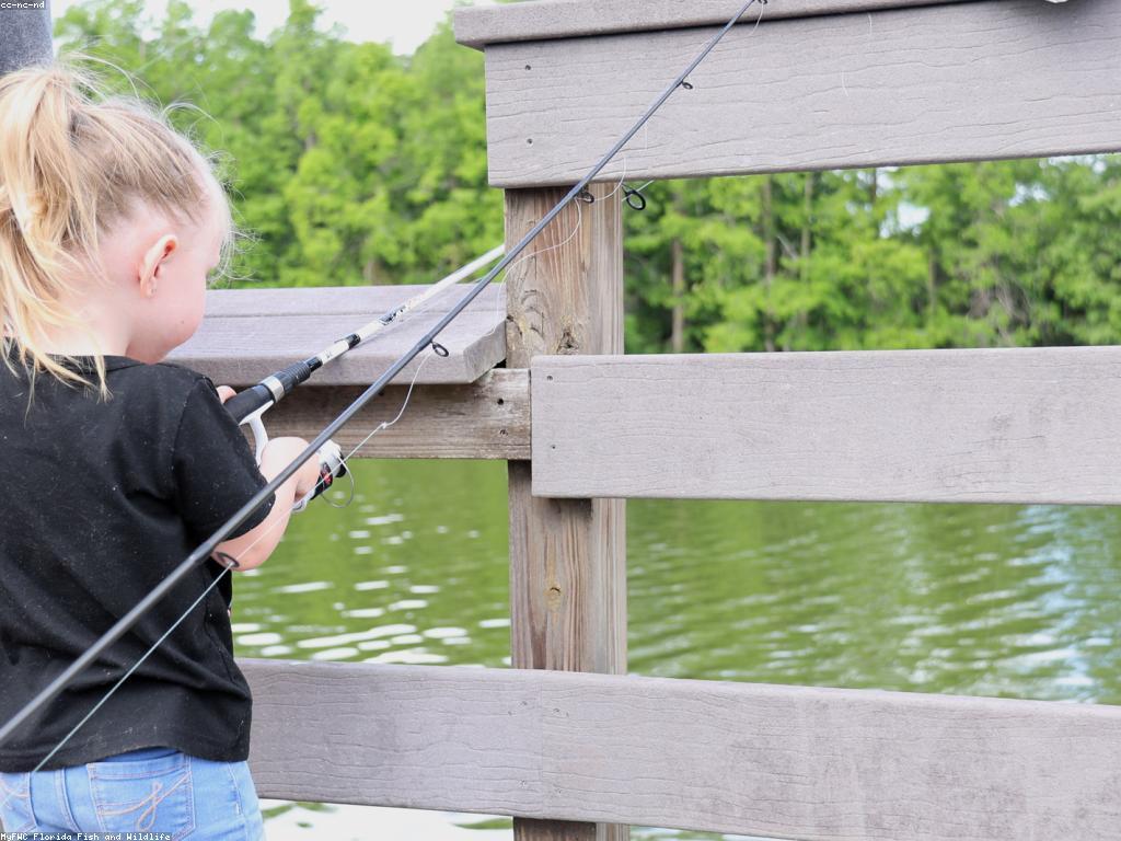 ឧបករណ៍បាញ់ត្រីសំខាន់ៗសម្រាប់អ្នកកាន់តែប្រសើរ