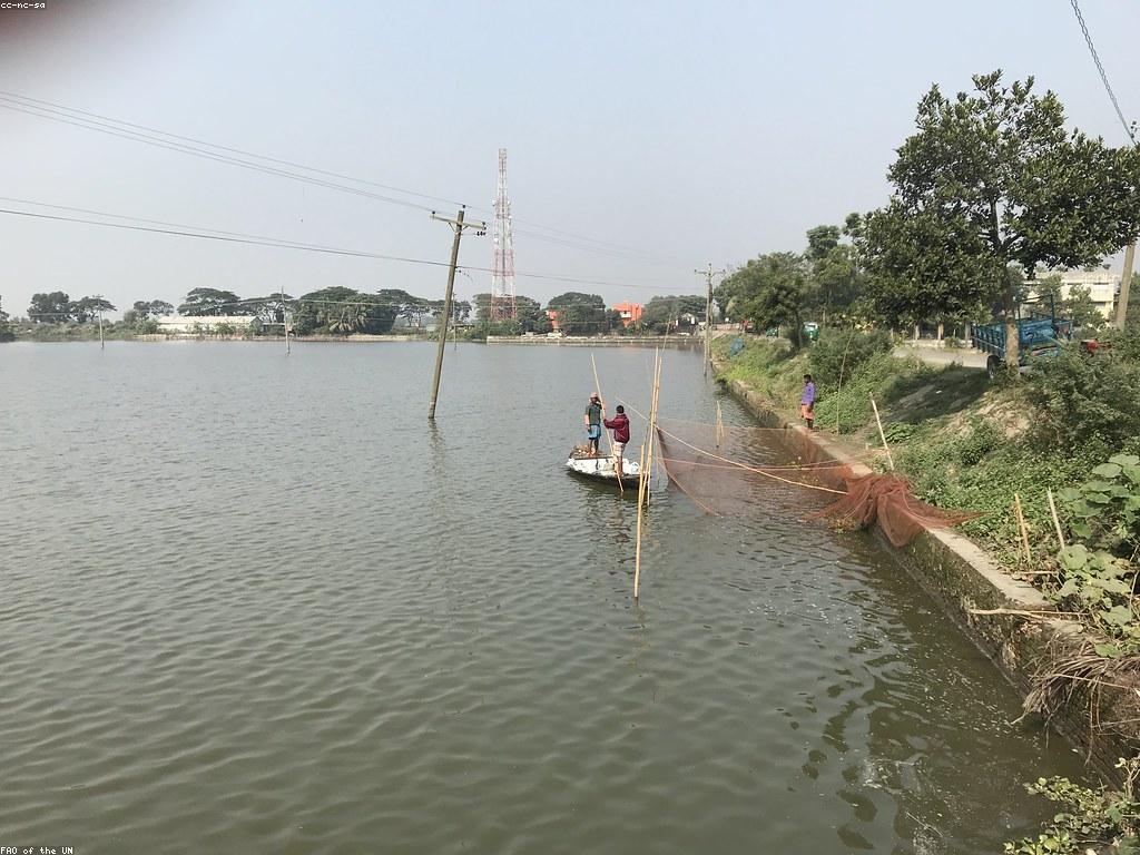 យុទ្ធសាស្ត្រនៃការប្រើប្រាស់ឧបករណ៍បាញ់ត្រី