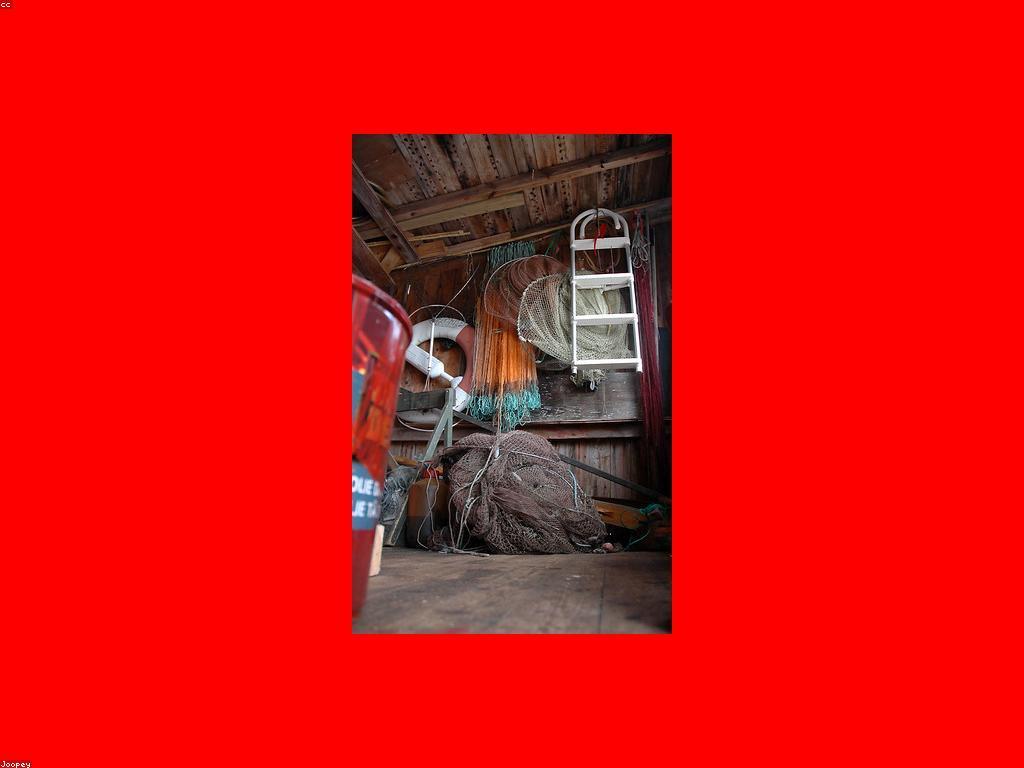 ឧបករណ៍បាញ់ត្រីសំខាន់ៗសម្រាប់អ្នកកាន់តែប្រសើរ