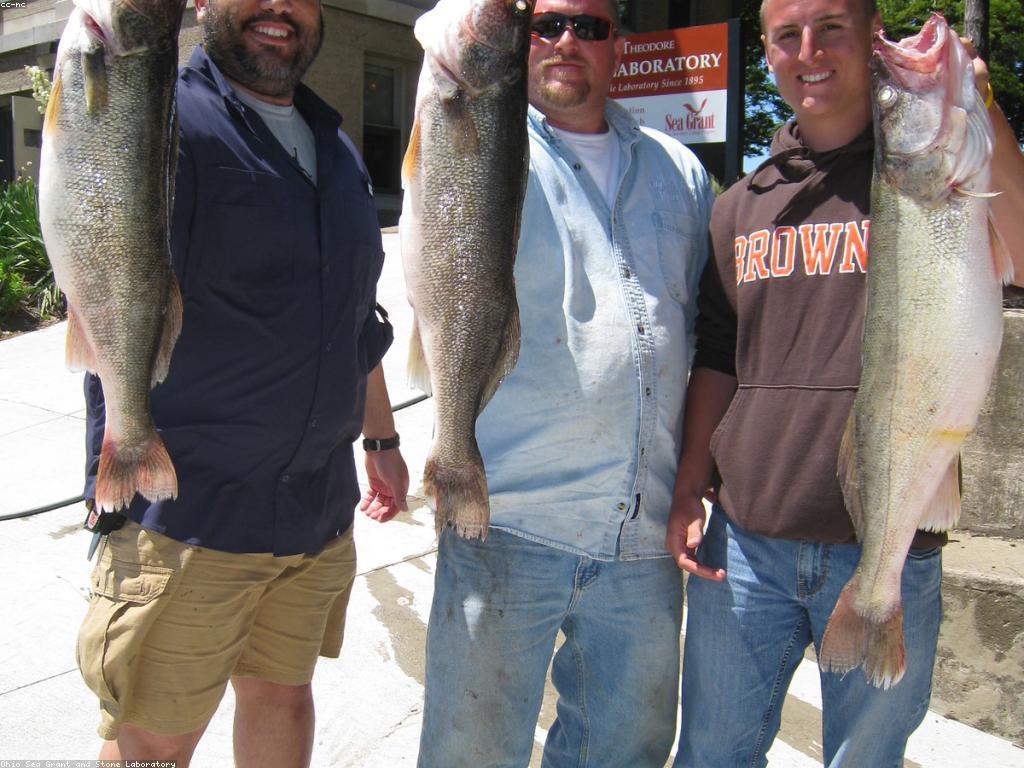 ការអភិវឌ្ឍន៍បច្ចេកវិទ្យាឧបករណ៍បាញ់ត្រី