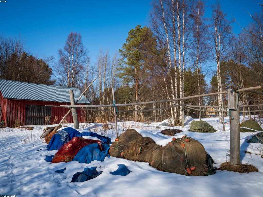 យុទ្ធសាស្ត្រនៃការប្រើប្រាស់ឧបករណ៍បាញ់ត្រី