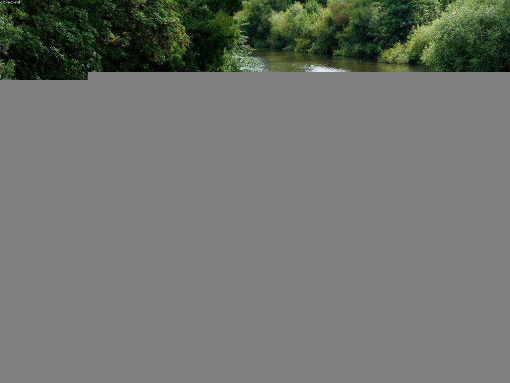 វិធីបាញ់ត្រីនៅលើទឹកជ្រោះ