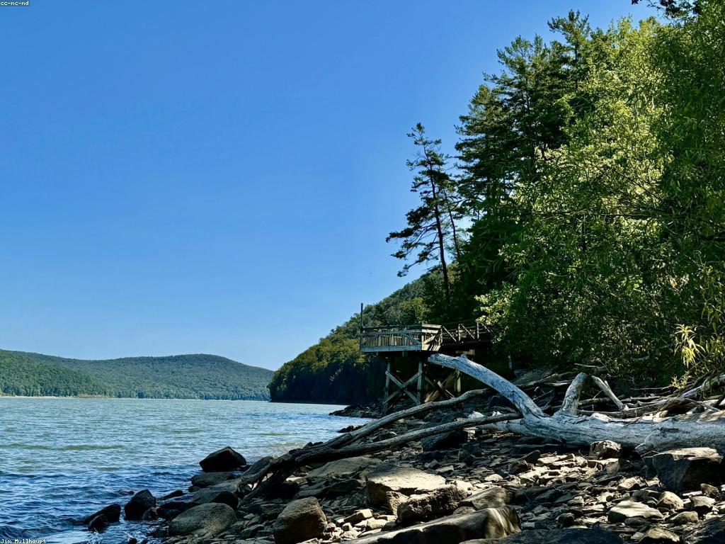 វិធីបាញ់ត្រី: បច្ចេកទេសថ្មីៗសម្រាប់អ្នកចាប់ត្រី