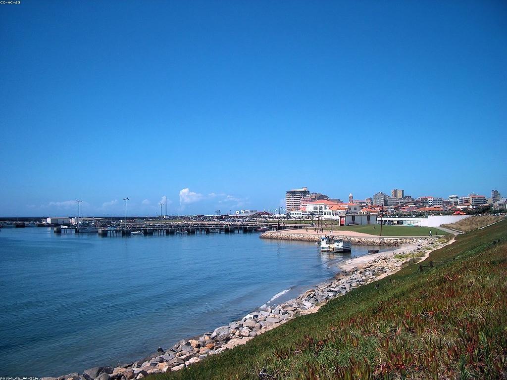 ការប្រកួតបាញ់ត្រីនៅសាធារណៈក្នុងកាស៊ីណូ