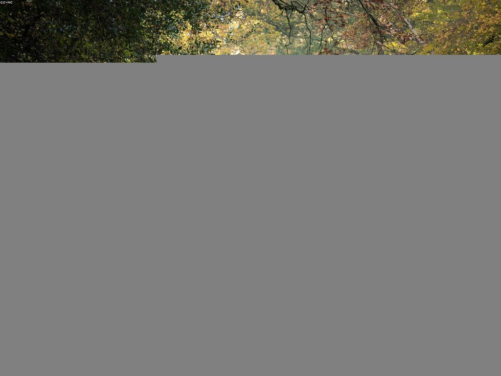 វិធីបាញ់ត្រីសំរាប់អ្នកចាប់ត្រីមានបទពិសោធន៍