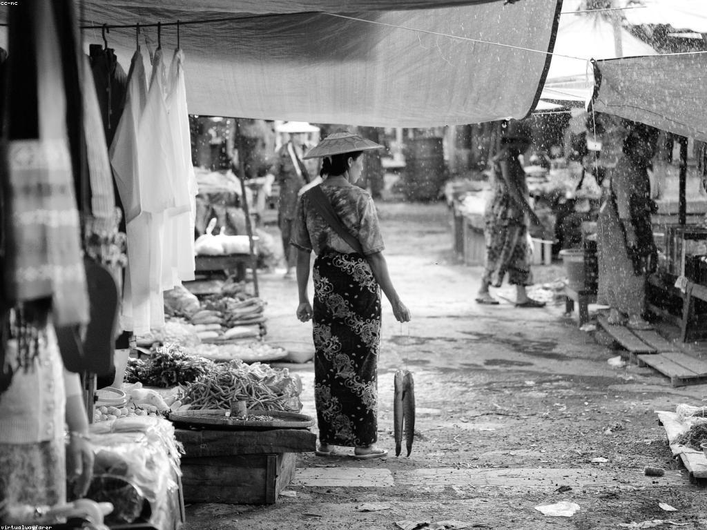 ការពិនិត្យឧបករណ៍បាញ់ត្រីថ្មីៗ