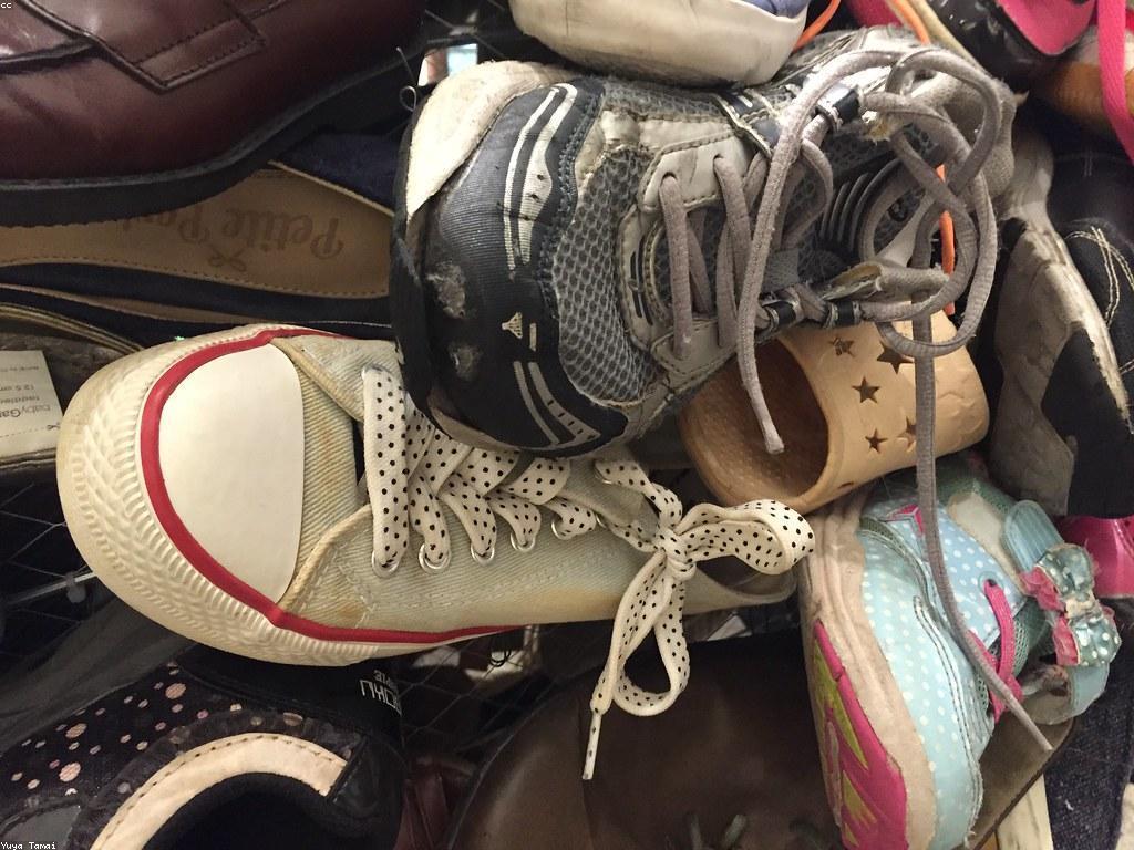 វិធីបាញ់ត្រីនៅរដូវក្តៅ