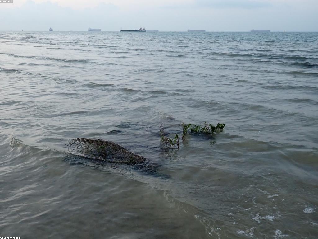 ឧបករណ៍បាញ់ត្រីក្រោមទឹក