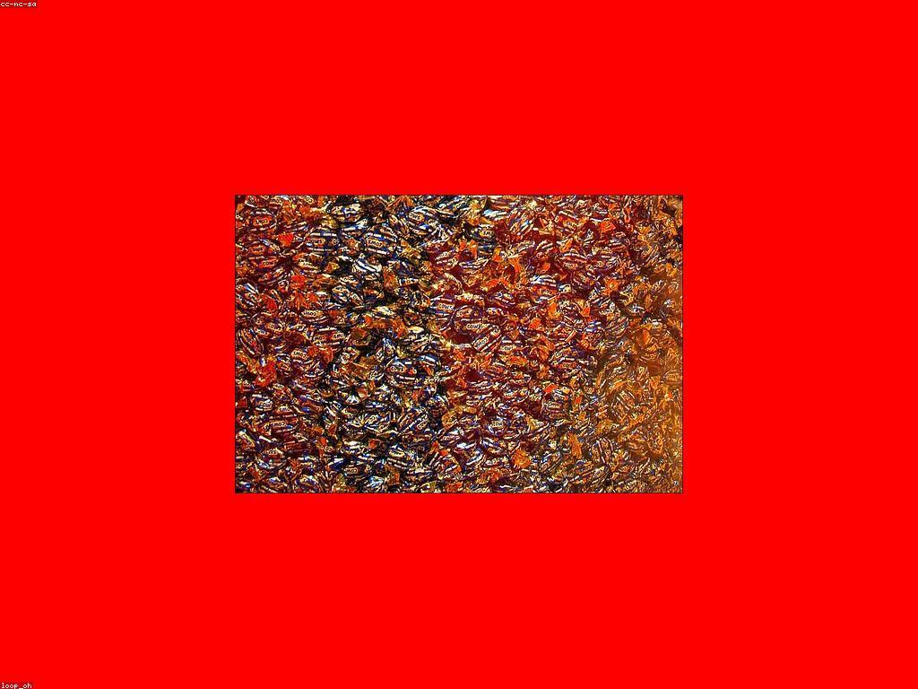 ទម្រង់ Jackpot: ការស្វែងយល់អំពីការប្រកួតឆ្នោត