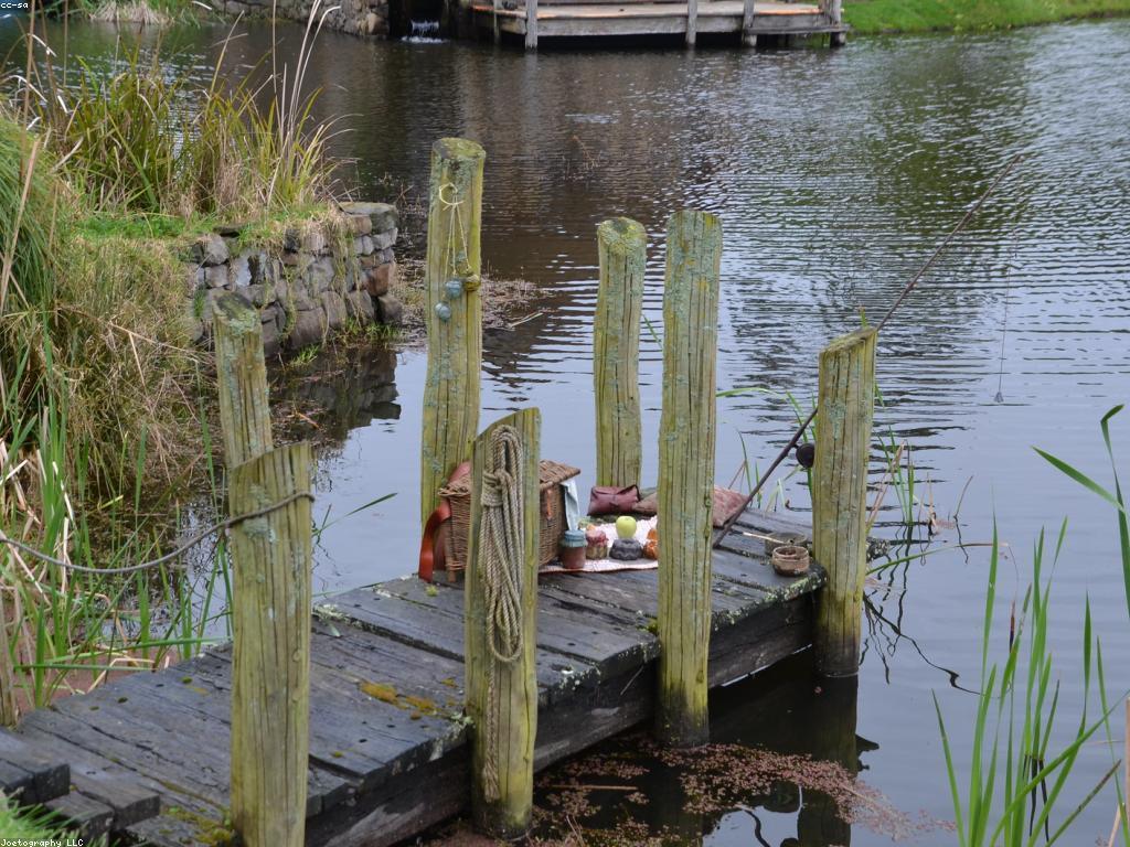 វិធីបាញ់ត្រី: បច្ចេកទេសថ្មីៗសម្រាប់អ្នកចាប់ត្រី