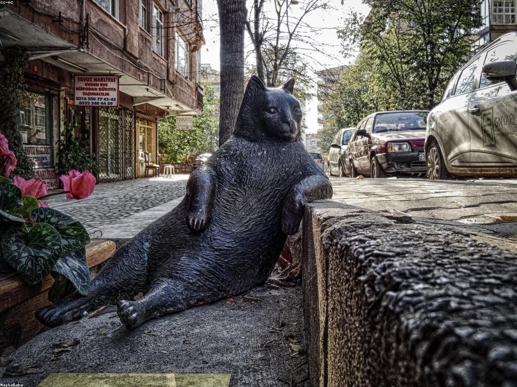 ការយល់ដឹងអំពីរបៀបធ្វើការប្រែប្រួលទម្រង់ Jackpot